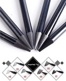 TKS Woodless Graphite Pencil Set of 6